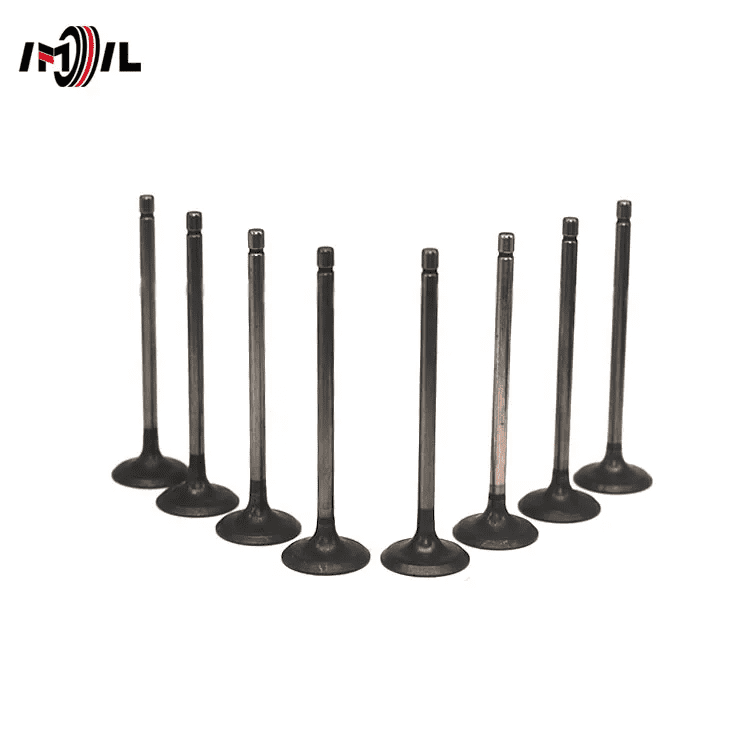 Intake and exhaust valves and valve lifters