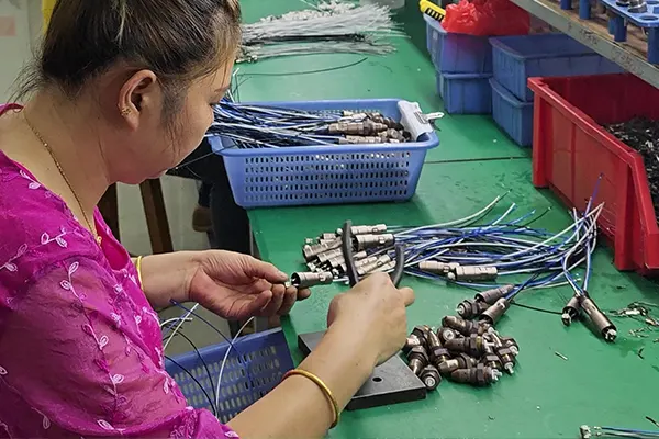 Wiring harness and chip assembly
